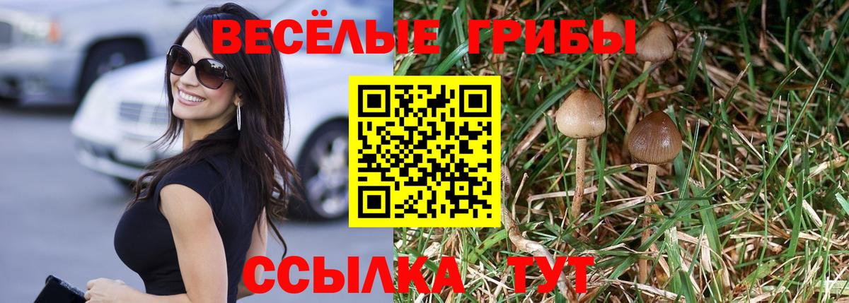 сколько стоит  Псилоцибиновые грибы мицелий  Вход с VPN  Псилоцибиновые грибы Magic Shrooms  Вязьма 